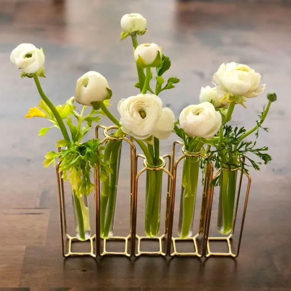Other - Brass And Clear Glass Test Tube Vases